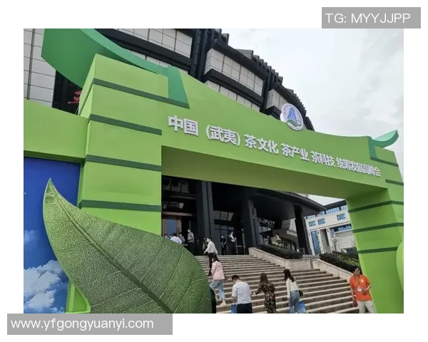 茶文化体验中心打造与创新探索提升茶产业发展新动能