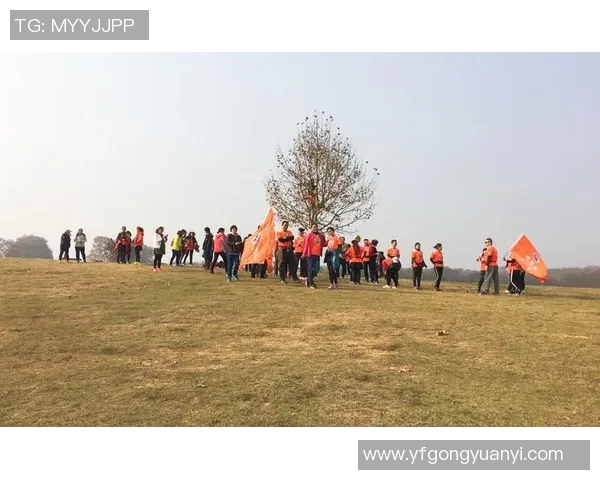 南京攀岩队成员个人能力全面对比与分析探讨