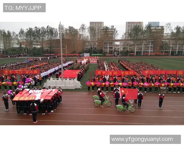 乒乓球传奇吴秀英的成长与奋斗之路深度对话
